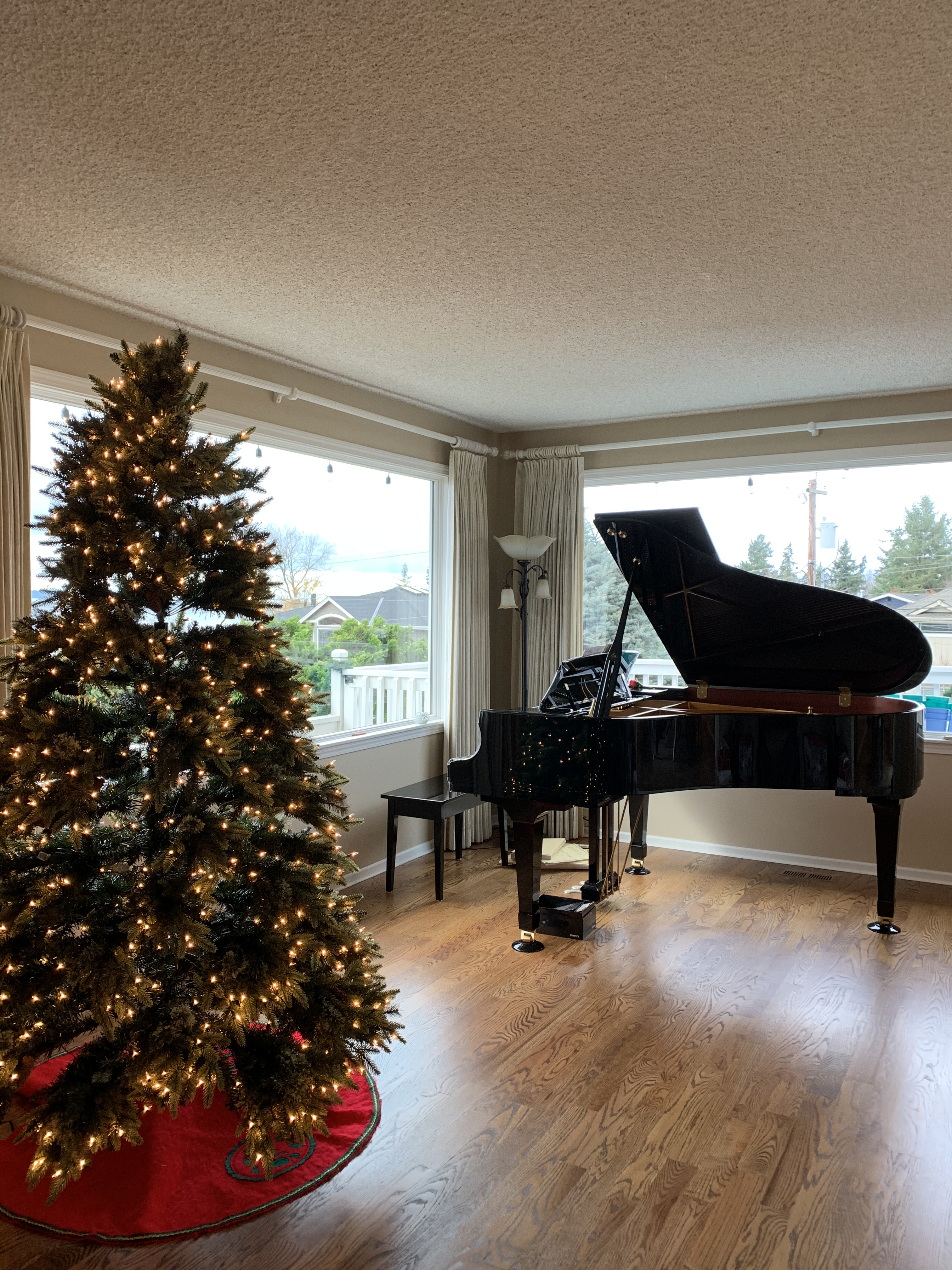 Soo's Squeaks and Scribbles